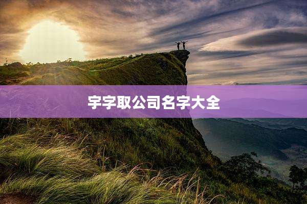 宇字取公司名字大全