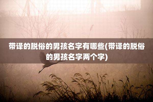 带译的脱俗的男孩名字有哪些(带译的脱俗的男孩名字两个字)