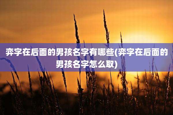 弈字在后面的男孩名字有哪些(弈字在后面的男孩名字怎么取)