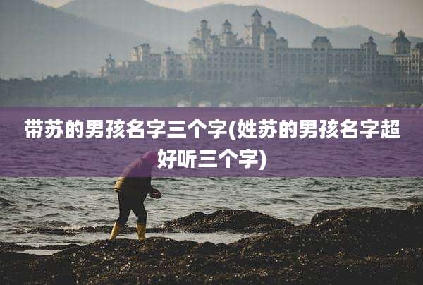 带苏的男孩名字三个字(姓苏的男孩名字超好听三个字)
