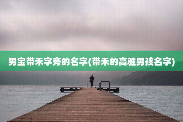 男宝带禾字旁的名字(带禾的高雅男孩名字)