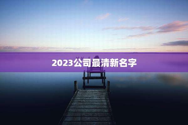 2023公司最清新名字