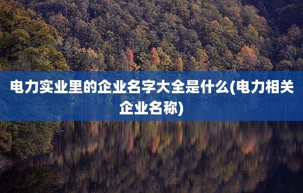电力实业里的企业名字大全是什么(电力相关企业名称)