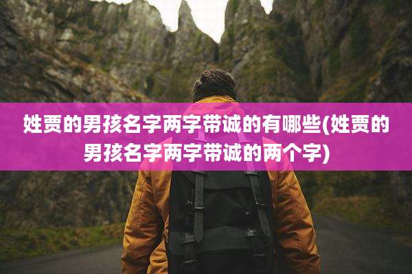 姓贾的男孩名字两字带诚的有哪些(姓贾的男孩名字两字带诚的两个字)