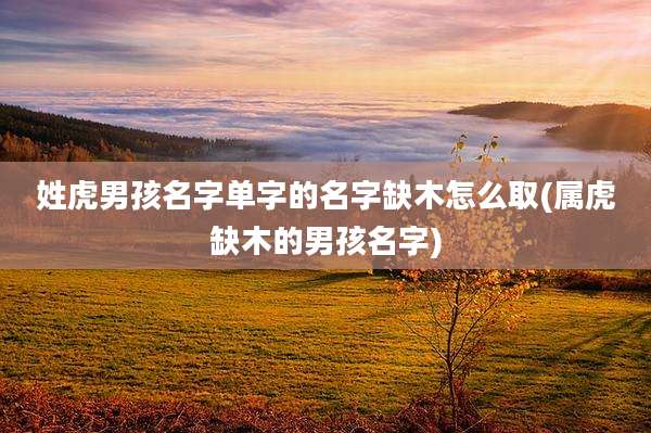 姓虎男孩名字单字的名字缺木怎么取(属虎缺木的男孩名字)