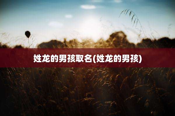 姓龙的男孩取名(姓龙的男孩)