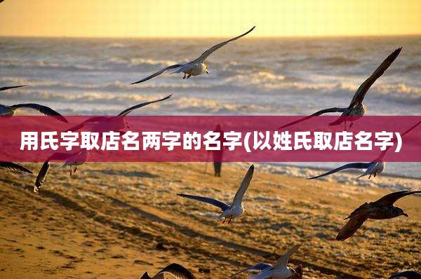 用氏字取店名两字的名字(以姓氏取店名字)