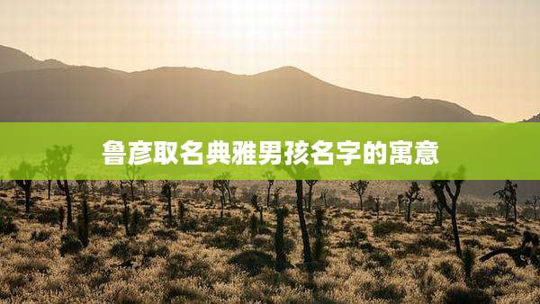 鲁彦取名典雅男孩名字的寓意