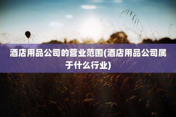酒店用品公司的营业范围(酒店用品公司属于什么行业)