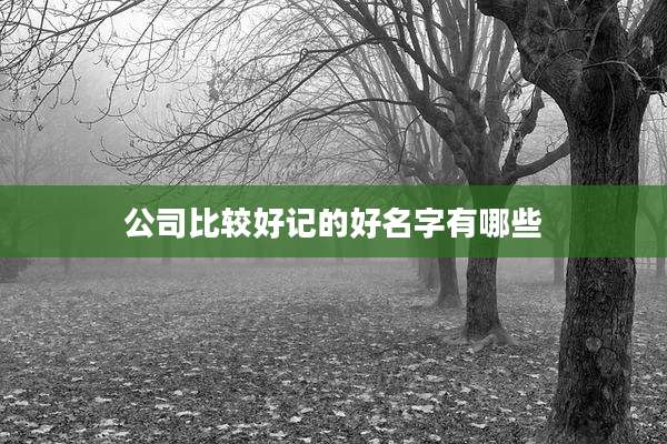 公司比较好记的好名字有哪些