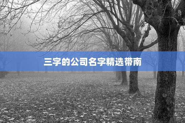 三字的公司名字精选带南