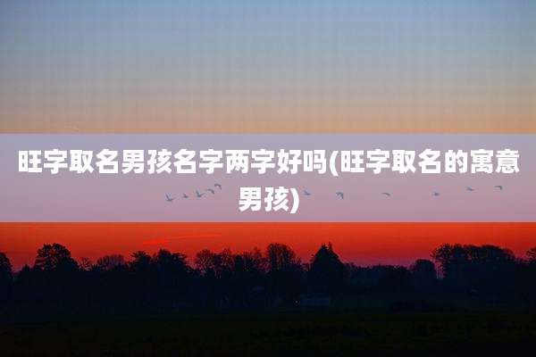旺字取名男孩名字两字好吗(旺字取名的寓意男孩)