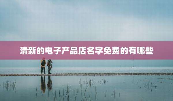 清新的电子产品店名字免费的有哪些