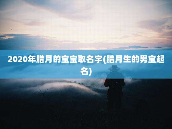 2020年腊月的宝宝取名字(腊月生的男宝起名)
