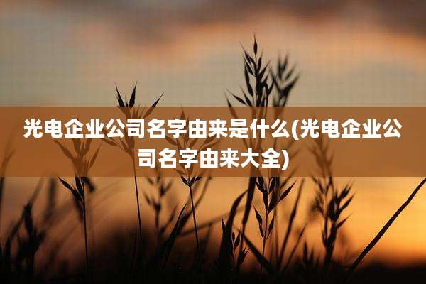 光电企业公司名字由来是什么(光电企业公司名字由来大全)