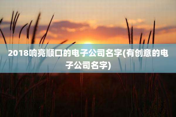 2018响亮顺口的电子公司名字(有创意的电子公司名字)