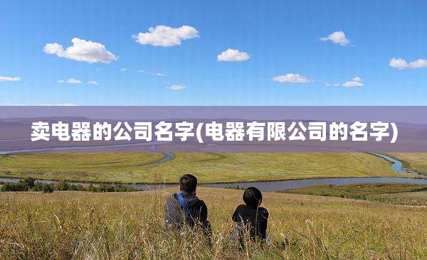 卖电器的公司名字(电器有限公司的名字)