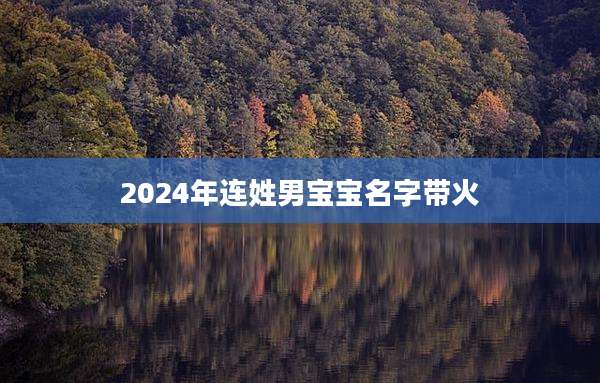 2024年连姓男宝宝名字带火