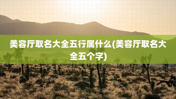 美容厅取名大全五行属什么(美容厅取名大全五个字)