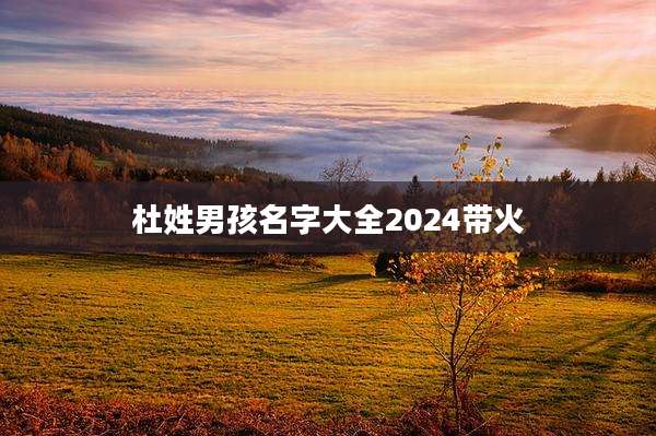 杜姓男孩名字大全2024带火