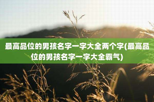 最高品位的男孩名字一字大全两个字(最高品位的男孩名字一字大全霸气)