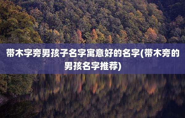 带木字旁男孩子名字寓意好的名字(带木旁的男孩名字推荐)
