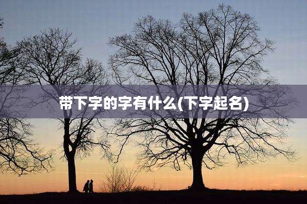 带下字的字有什么(下字起名)