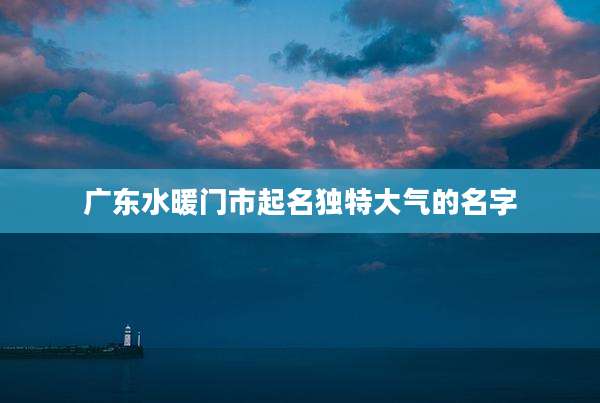 广东水暖门市起名独特大气的名字
