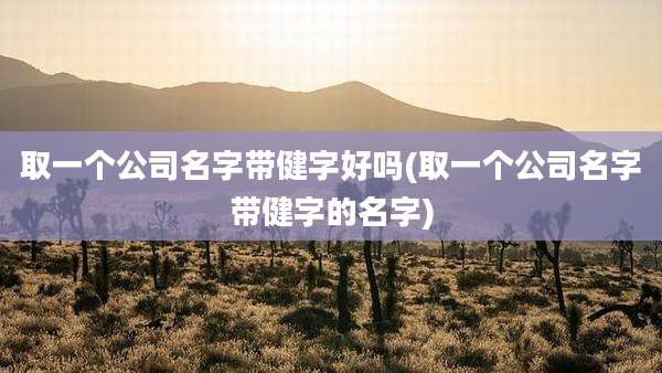 取一个公司名字带健字好吗(取一个公司名字带健字的名字)