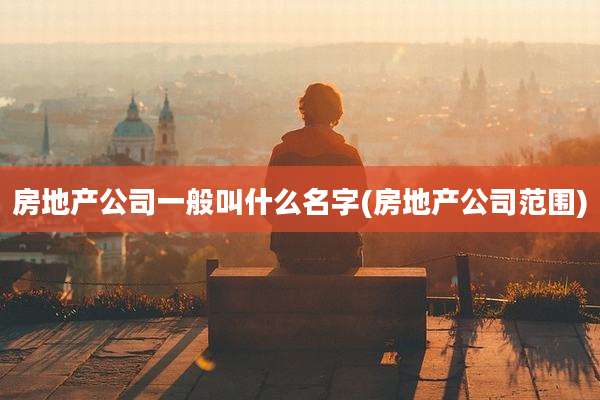 房地产公司一般叫什么名字(房地产公司范围)