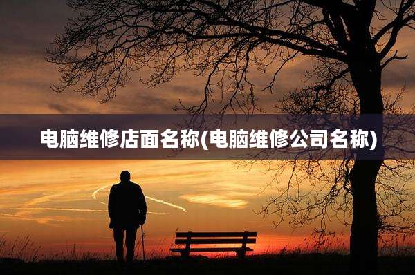 电脑维修店面名称(电脑维修公司名称)