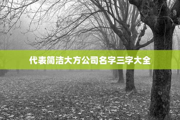 代表简洁大方公司名字三字大全