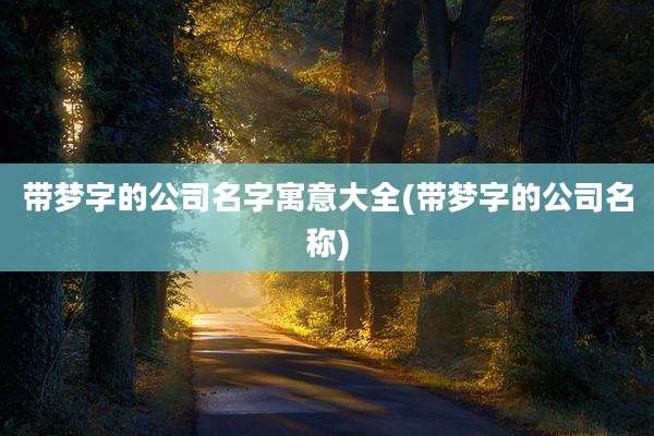 带梦字的公司名字寓意大全(带梦字的公司名称)