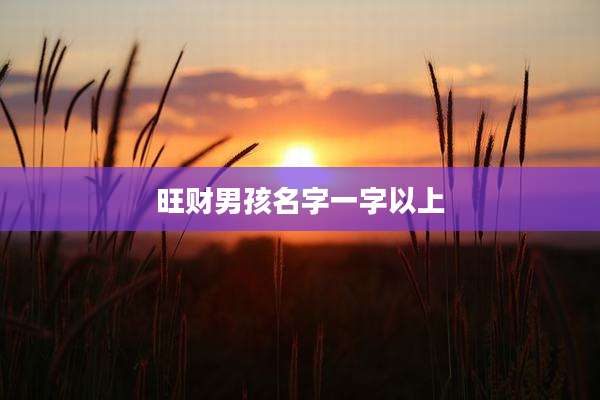 旺财男孩名字一字以上
