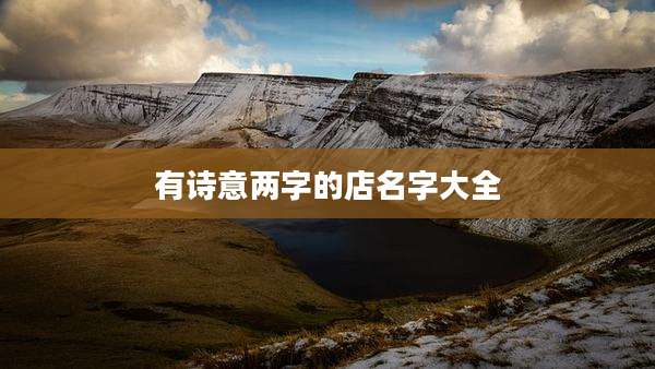 有诗意两字的店名字大全