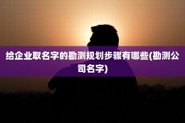给企业取名字的勘测规划步骤有哪些(勘测公司名字)