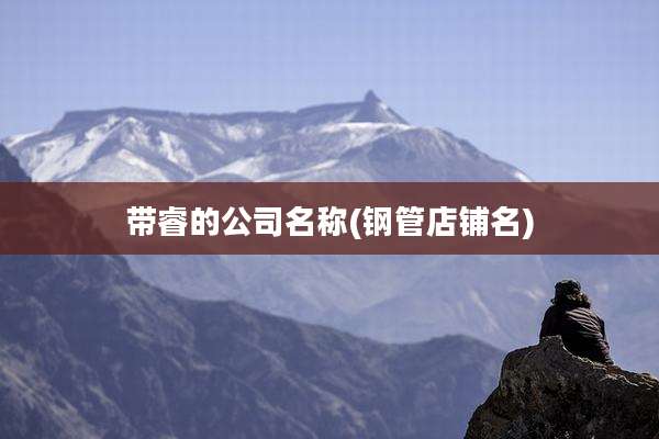带睿的公司名称(钢管店铺名)