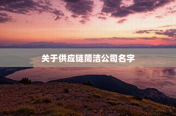关于供应链简洁公司名字