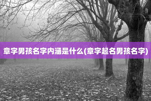 章字男孩名字内涵是什么(章字起名男孩名字)