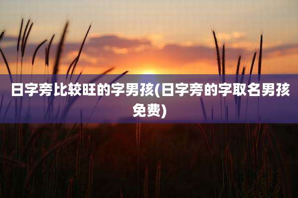 日字旁比较旺的字男孩(日字旁的字取名男孩免费)