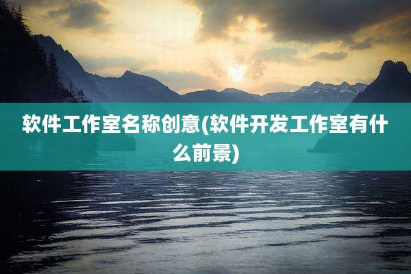 软件工作室名称创意(软件开发工作室有什么前景)
