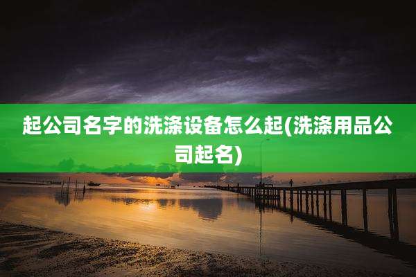起公司名字的洗涤设备怎么起(洗涤用品公司起名)