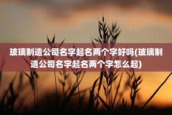 玻璃制造公司名字起名两个字好吗(玻璃制造公司名字起名两个字怎么起)