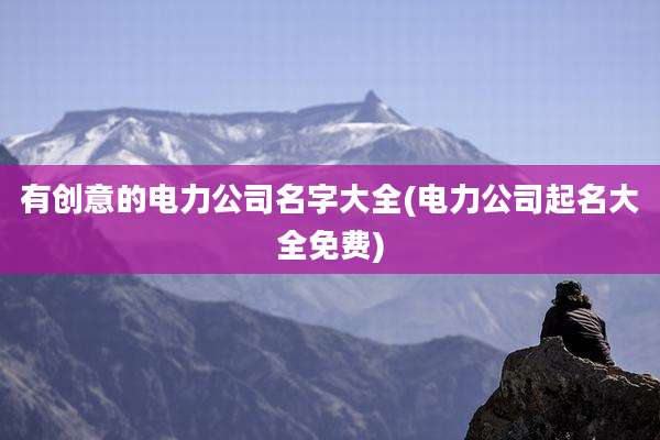 有创意的电力公司名字大全(电力公司起名大全免费)