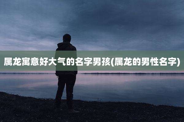 属龙寓意好大气的名字男孩(属龙的男性名字)