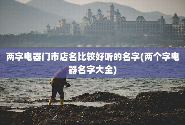 两字电器门市店名比较好听的名字(两个字电器名字大全)