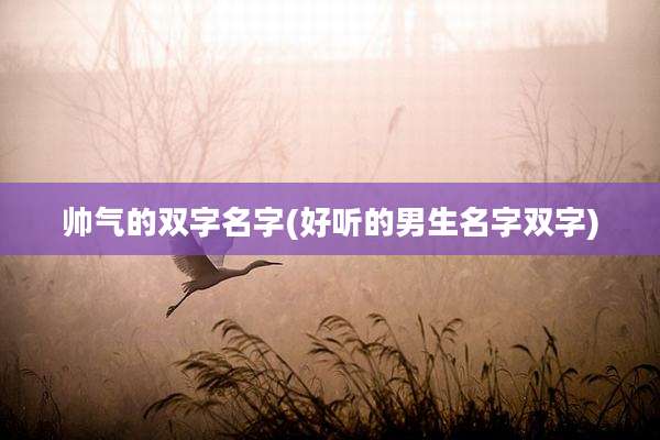 帅气的双字名字(好听的男生名字双字)
