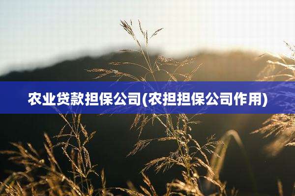 农业贷款担保公司(农担担保公司作用)