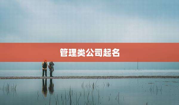 管理类公司起名