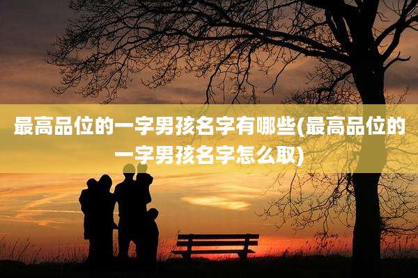 最高品位的一字男孩名字有哪些(最高品位的一字男孩名字怎么取)